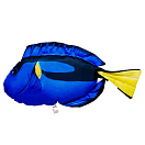 Купить Gaby GP-175570 The Regal Tang Medium Голубой  Blue / Black / Yellow 7ft.ru в интернет магазине Семь Футов