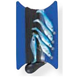 Ecoline ELTBSH Shad Линия троллинга Голубой Blue