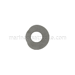 Johnson Pump 01-46969 Wearplate F6, Stainless Steel