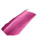 Baetis SC052/VE Condor Заменять Фиолетовый  Wine