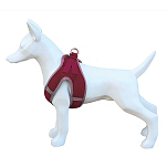 Freedog 10074006 Soft Обуздать Красный  Garnet 40-45 cm