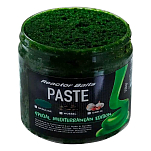 Reactor baits 9037S002 Strategic Paste 250g Прикормка из мидий Brown