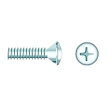 Seachoice 50-01804 Винт с овальной головкой Phillips 25 Единицы Серебристый Grey 1/4-20 x 2´´