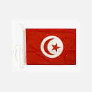 Купить Флаг Туниса гостевой Adria Bandiere BT051 20x30см 7ft.ru в интернет магазине Семь Футов
