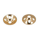 Baetis BACPG8 Перфорированная головка Золотистый Gold 8 mm 