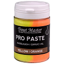 Купить SPRO 008984-00206-00000-00 Pro Paste Чесночная прикормка Оранжевый Yellow / Orange 7ft.ru в интернет магазине Семь Футов