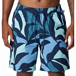 Columbia 1930461-467-6-S Шорты Summerdry™ Голубой  Collegiate Navy S