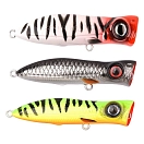 Купить SPRO 004867-03703-00000-00 Popper Iris Pop Hardlure 10.5g 75 mm Roach 10x7x5 7ft.ru в интернет магазине Семь Футов
