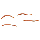 Купить Berkley 1140586 Глоток Alive Angle Worm 30 Mm Пластиковые черви Золотистый Natural 7ft.ru в интернет магазине Семь Футов