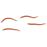 Berkley 1140586 Глоток Alive Angle Worm 30 Mm Пластиковые черви Золотистый Natural
