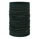 Купить Buff ® 117819.809.10.00 Шарф-хомут Merino Lightweight Multistripes Forest 15x10x5 7ft.ru в интернет магазине Семь Футов