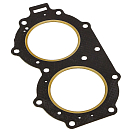 Прокладка под головку цилиндров Yamaha 25H-30A, Omax 6891118100_OM