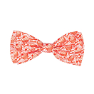 Купить Fuzzyard FZB392-L Hey There Sweetie Бабочка для домашних животных Многоцветный Multicolor L 7ft.ru в интернет магазине Семь Футов