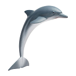 Safari ltd S200129 Dolphin Фигура Голубой  Grey From 3 Years 