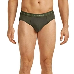 Icebreaker 1030310l1/l Трусы Anatomica Dark Loden 20x10x5