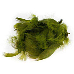 Baetis BAMBFO Mallard Barred Перо Зеленый  Olive