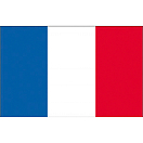 Купить Флаг Франции гостевой Adria Bandiere BF031 20x30см 7ft.ru в интернет магазине Семь Футов