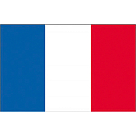 Флаг Франции гостевой Adria Bandiere BF031 20x30см