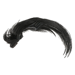 Baetis GPC100/WA Golden Faisan Перо Черный  Black