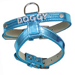 Freedog FD4000219 Brightdoggy Обуздать Голубой  Blue 15 mm