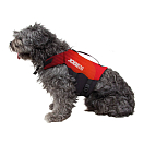 Купить Jobe 240020001-XS Pet Red Жилет Красный  Red XS  7ft.ru в интернет магазине Семь Футов