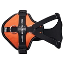 Купить Julius k-9 LWH-LGHT-FOR-XL собачья шлейка Longwalk Light  Orange XL 7ft.ru в интернет магазине Семь Футов