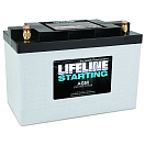 Купить Lifeline GPL-3100T GPL-3100T AGM Starting батарея Белая GPL-3100T 100Ah (12V)  7ft.ru в интернет магазине Семь Футов