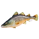 Купить Gaby GP-175075 The Atlantic Cod Medium Бежевый  Multicolor 7ft.ru в интернет магазине Семь Футов