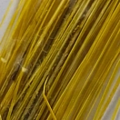 Купить Flybox SPQ-121-UNIT Перо Stripped Peacock Quills  Fluo Yellow 7ft.ru в интернет магазине Семь Футов
