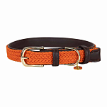 Kentucky 42517-45-XS Плетеный Nylon Воротник  Orange 32-38 cm