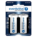 Купить Everactive EVLR20-PRO Pro LR20 D Щелочная батарея 2 единицы измерения Многоцветный Multicolour 7ft.ru в интернет магазине Семь Футов