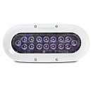 Купить Ocean led 4016016 Oceanled X16 9-32V Светодиодный Бесцветный Night Blue 7ft.ru в интернет магазине Семь Футов