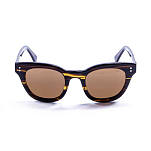 Ocean sunglasses 62000.3 поляризованные солнцезащитные очки Santa Cruz Brown / Brown
