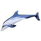 Купить Gaby GP-175365 The Bottlenoise Dolphin Giant Серый  Grey 7ft.ru в интернет магазине Семь Футов
