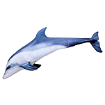 Gaby GP-175365 The Bottlenoise Dolphin Giant Серый  Grey