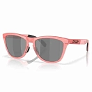 Купить Oakley oo9284-2455 поляризованные солнцезащитные очки Frogskins range Muted Metallic Paloma 20x10x10 Prizm Black Polarized/CAT3 7ft.ru в интернет магазине Семь Футов