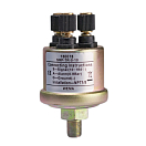 Купить Датчик давления Wema 150015 0–2бар 1/8NPT нержавеющая сталь 316L с функцией тревоги IP67 корпус нержавеющая сталь 7ft.ru в интернет магазине Семь Футов
