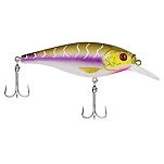 Berkley 28632288184 Minnow Flicker Shad Shallow 70 mm  Purple Tiger
