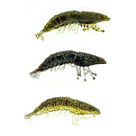 Molix MOSH25-T166 Shrimp 50 Mm 4g Многоцветный  Green Pumpkin