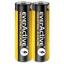 Купить Everactive EVLR6S2IK Industrial LR6 AA Щелочная батарея 40 единицы измерения Многоцветный Multicolour 7ft.ru в интернет магазине Семь Футов