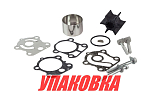 Ремкомплект помпы Yamaha F75-F100, Recmar (упаковка из 10 шт.) 67FW007800_RM_pkg_10