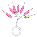 Garbolino GOTAE0100-3RS Osprey Крюк Розовый  Pink / Yellow / Orange 3 