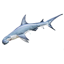 Купить Gaby GP-780422 Scuba gifts Подушка с акулой-молотом Серебристый Light Blue / White 7ft.ru в интернет магазине Семь Футов