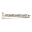 Купить Euromarine VIXVTF6332-25-UNIT A4 DIN 7982 6.3x32 mm Винт с крестообразным шлицем 25 единицы Золотистый Silver 7ft.ru в интернет магазине Семь Футов