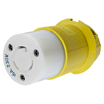 Hubble 3939546 16A Поликарбонатная заглушка Бесцветный White / Yellow