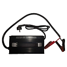 Купить Zasdar BLF-33 Lifepo4 30A зарядное устройство Черный Black 7ft.ru в интернет магазине Семь Футов