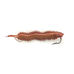 Evia I17451 Sand Worm Small Красный  Red