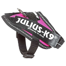 Купить Julius k-9 16IDC-DPN-1 IDC® Power Обуздать Розовый  Fuchsia L-1 7ft.ru в интернет магазине Семь Футов