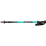 Fizan FZ100019 трости Trek Серебристый  Light Blue 63-140 cm