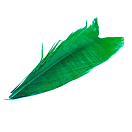 Купить Baetis SC072/VE Condor Заменять Зеленый  Green 7ft.ru в интернет магазине Семь Футов